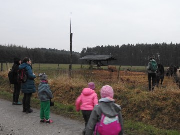 Noc sów w Spalskim Parku Krajobrazowym, 