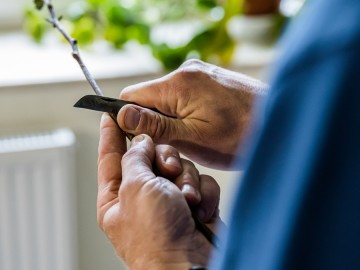 Szkolenie sadownicze w Przedborskim Parku Krajobrazowym 2025, 