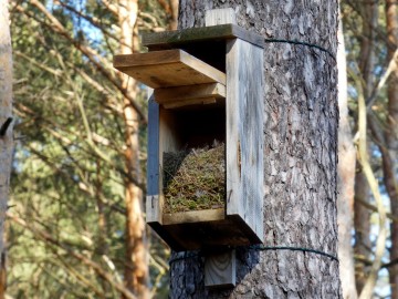 Czyszczenie budek lęgowych w naszych parkach, 