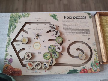 633458305_867073852824795_7455151184198916513_n, 